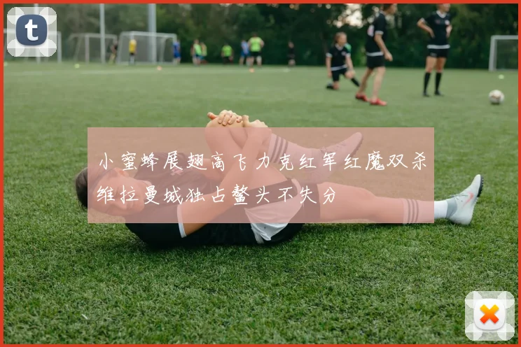 小蜜蜂展翅高飞力克红军红魔双杀维拉曼城独占鳌头不失分
