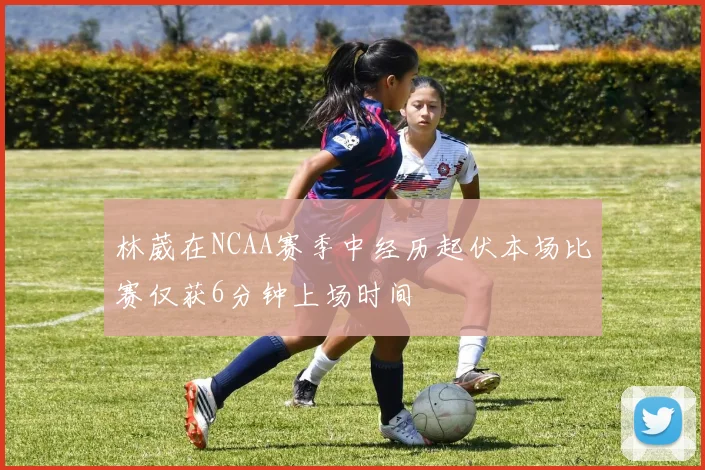 林葳在NCAA赛季中经历起伏本场比赛仅获6分钟上场时间
