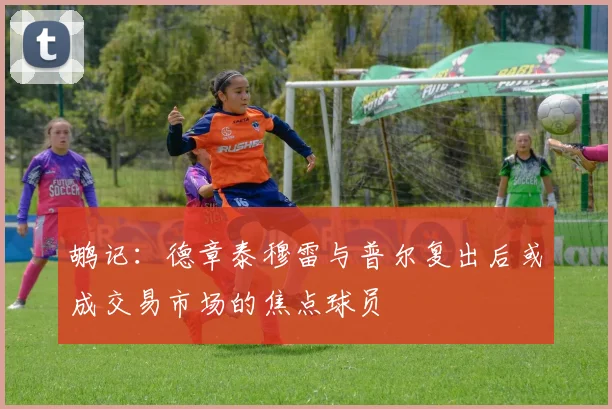 鹕记：德章泰穆雷与普尔复出后或成交易市场的焦点球员